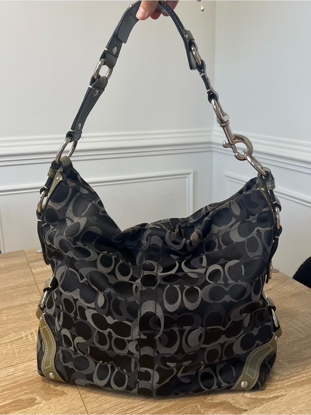 Coach Large Signature Carly Hobo Bag